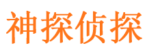 山阴外遇调查取证